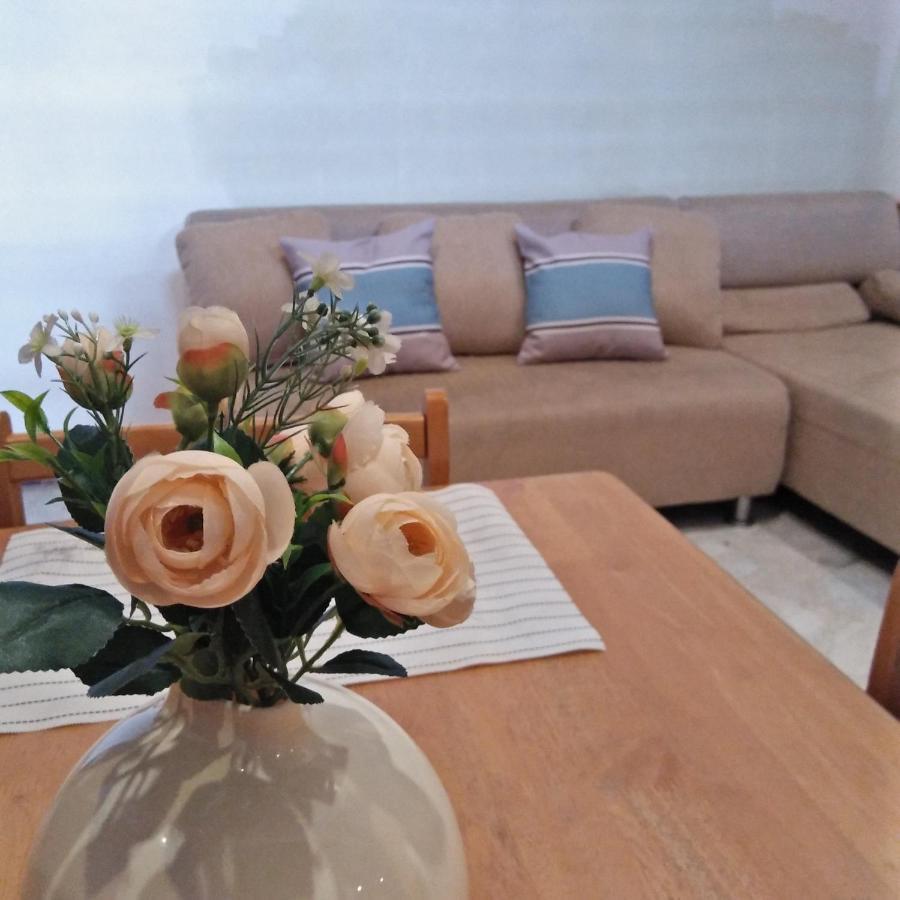 Cebu Pungko-Pungko Hostel Ngoại thất bức ảnh